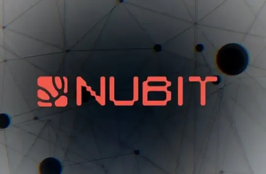 专访 Nubit 创始人：如何打造比特币生态第一个 DA 层