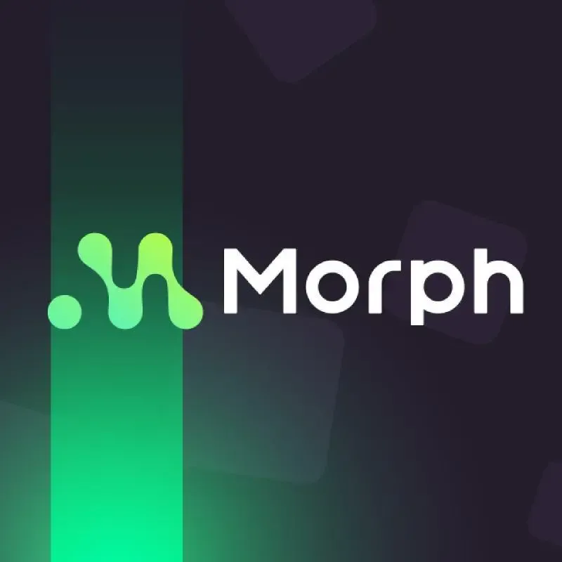 独家专访 Morph CEO：加密领袖更需保持清醒，消费级生态定位无可取代