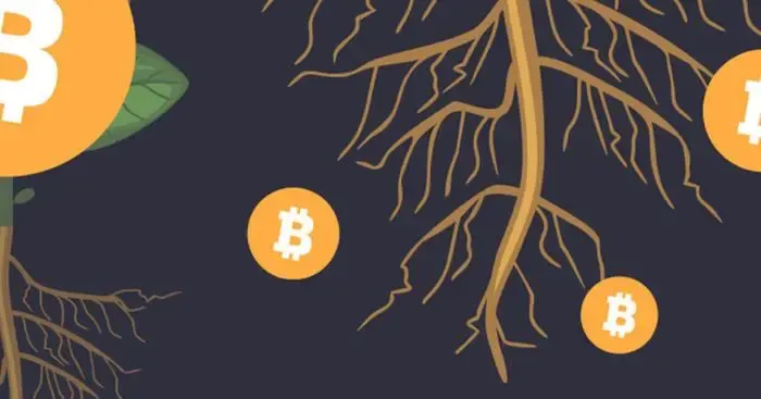 After the summer of inscriptions, is there still a chance for the Bitcoin ecosystem?