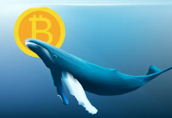 Barbarians Outside the Election: Crypto Whales Quietly Eroding American Politics