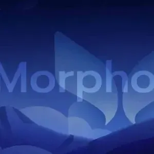 Recently completed a $50 million financing, can Morpho become a new giant in the DeFi lending sector?