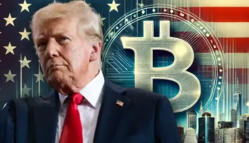 An Economist's Perspective: Is Trump's Bitcoin Strategy Really Feasible or Just an Election Tactic?