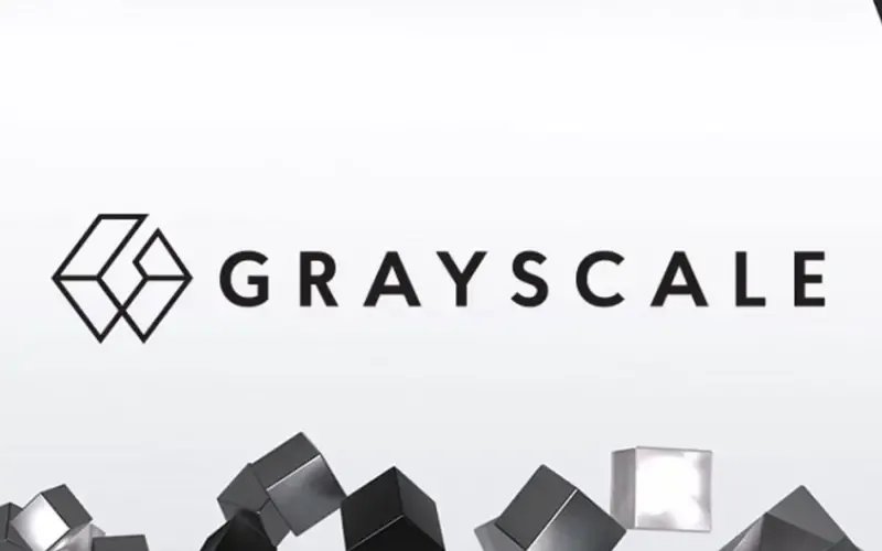 Outlook for the Grayscale Encryption Market in the Fourth Quarter: Bitcoin Leads, Ethereum Steady, New Assets Enter the Rankings