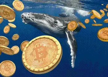 Unveiling the Secret Weapon of Giant Whales: How to Find the Next 100x Meme Coin?