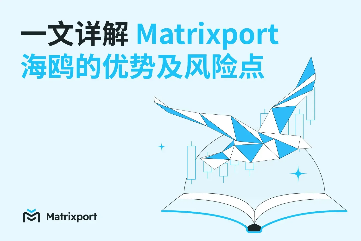 一文详解 Matrixport 海鸥的优势及风险点