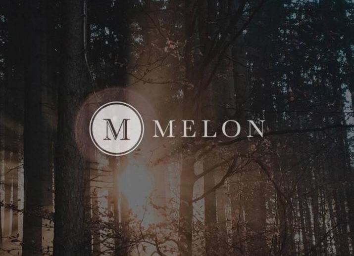 The DeFi asset management sector is gaining popularity; what are the potential and constraints of Melon?