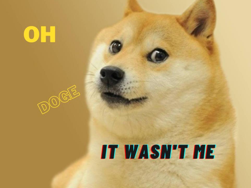 Dogecoin Soars: When Humor Becomes a New Perspective for Value Creation