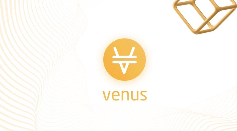 復盤 Venus 最も寒い日、2億ドル清算啓示録