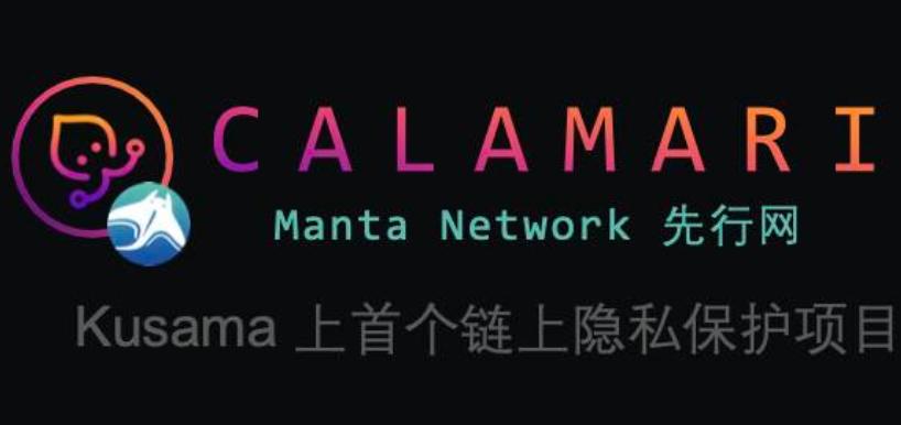 Manta Network 先行網 Calamari パラレルチェーン競売戦略発表