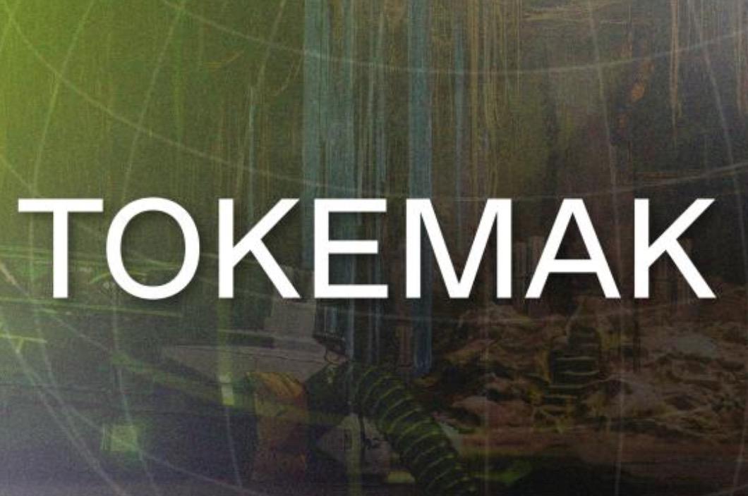 Liquidity Singularity: Tokemak and Its Sustainable Liquidity Protocol