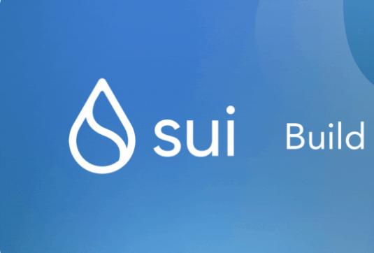 Sui officially releases a permanent testnet, how will it improve the developer experience?