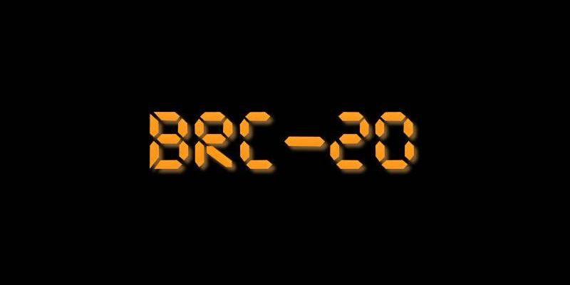 BRC-20はビットコインネットワークに激しい変動を引き起こし、無視できない論争やリスクは何ですか？