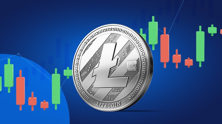 Is Litecoin LTC completely out of favor this time with the halving going unnoticed and ecological development slowing down?