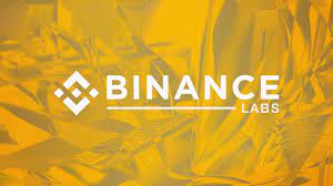 Binance Labs 미발행 코인 잠재력 프로젝트 대정리