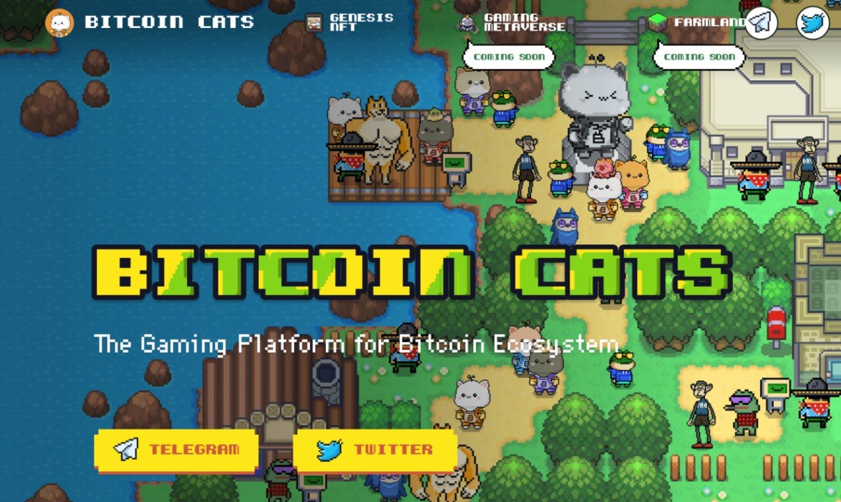 After raising $100 million in oversubscription for the Bitcoin Cats IDO, which other Bitcoin blockchain gaming projects are worth paying attention to?