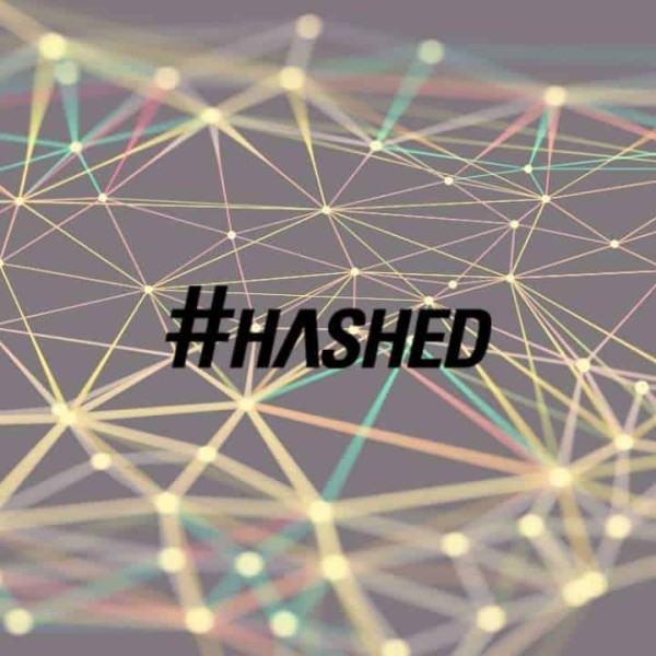 Hashed 2024 Outlook: Bitcoin Ecosystem Infrastructure Explosion, Continued Advancement of AI and Blockchain Integration