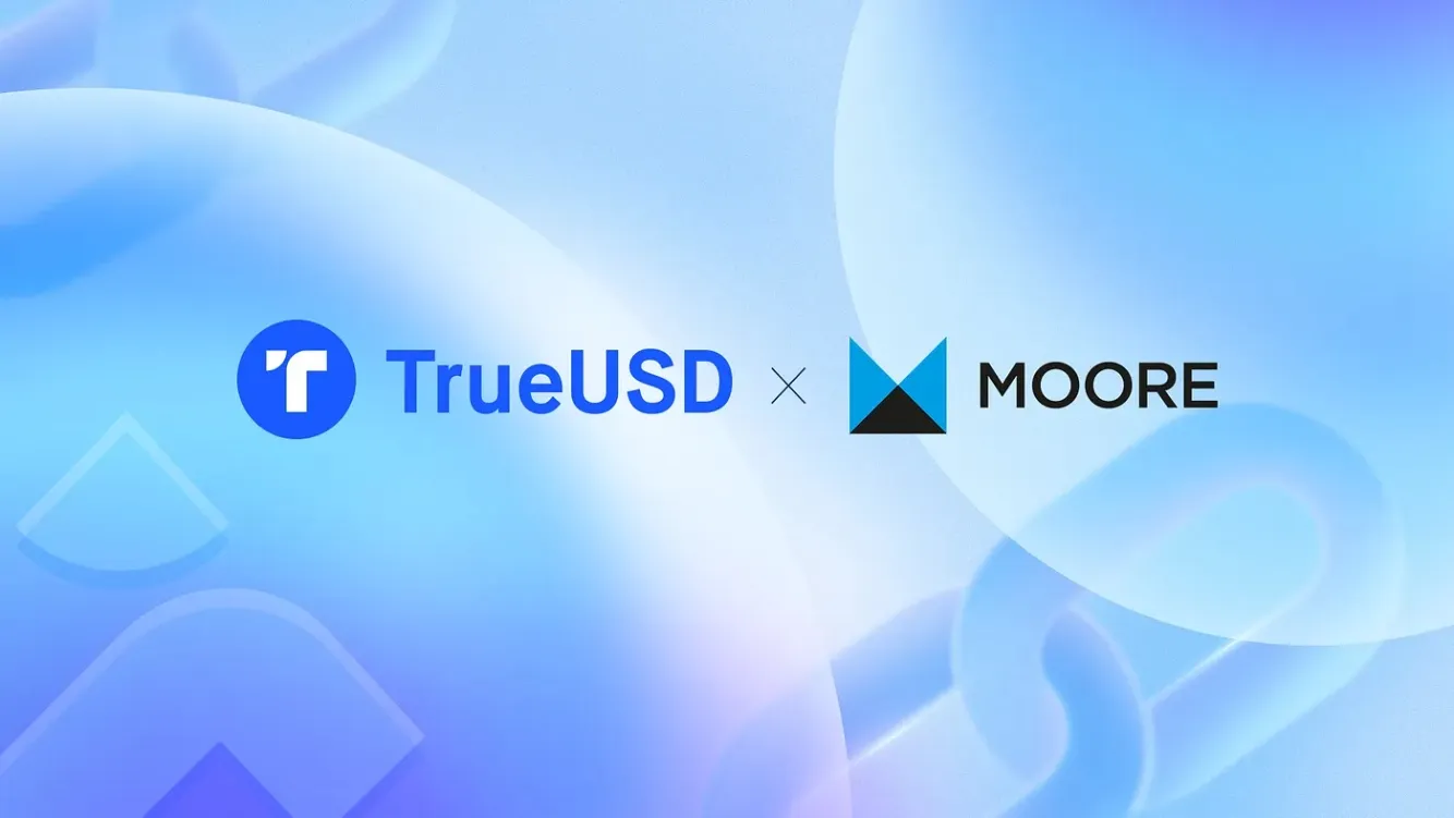 Hong Kong Moore joins TUSD audit, what are the auditing firms for leading stablecoins?