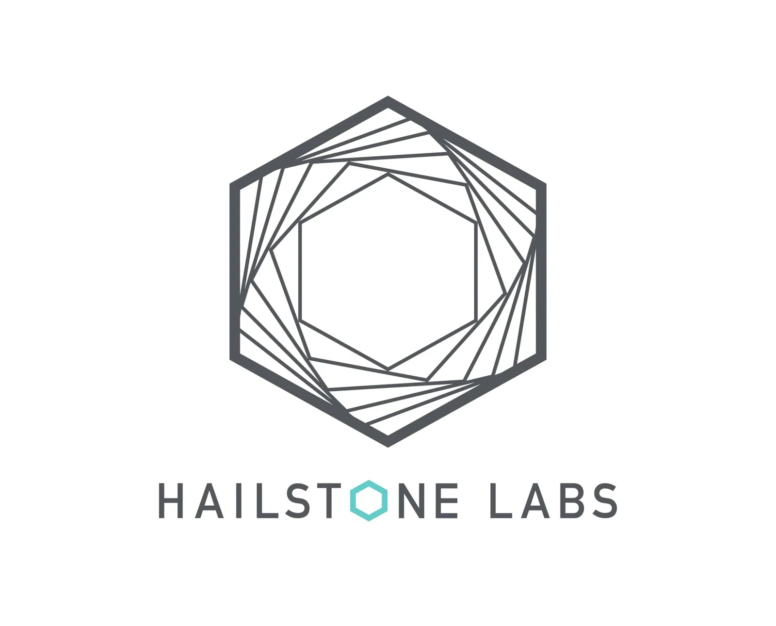 Hailstone Labs 