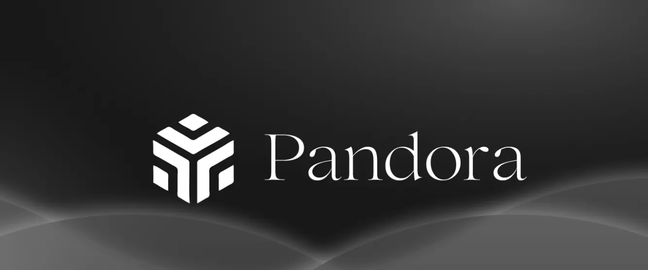 対話 Pandora 共同創設者：物語は大きな損失を伴う Rug から始まった