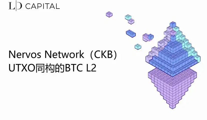 Nervos Network(CKB)：UTXO 同型の BTC L2