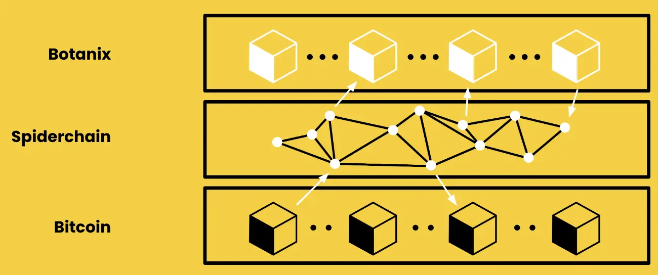 Interpreting Botanix: Decentralized BTC L2 for Network Asset Management (with Interaction Tutorial)