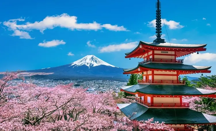 MIIX Capital: Japan Cryptocurrency Market Research Report