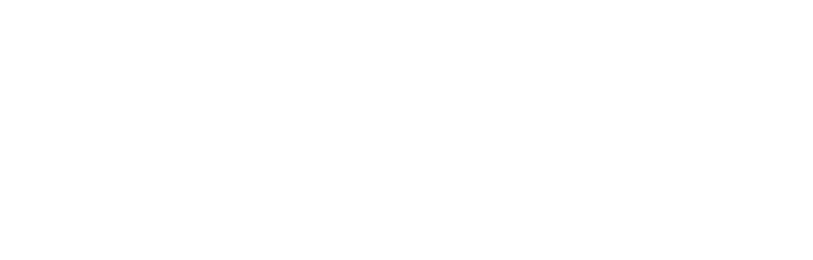 BounceBit