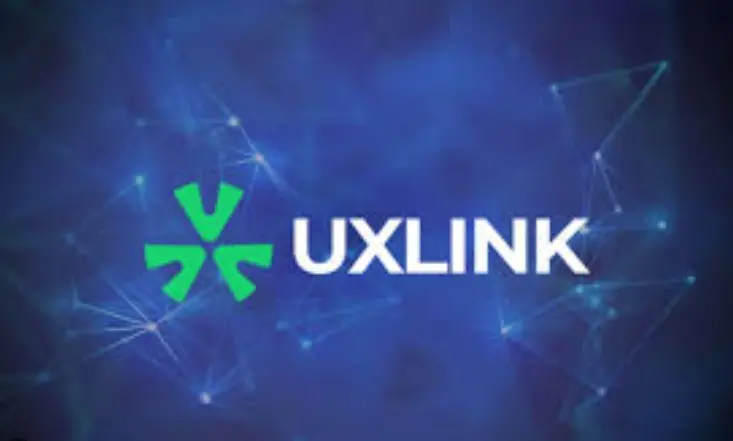 UXLINK：執兩用中