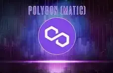 社区曝光 Polygon 大瓜，高层控盘 meme 币割韭菜？