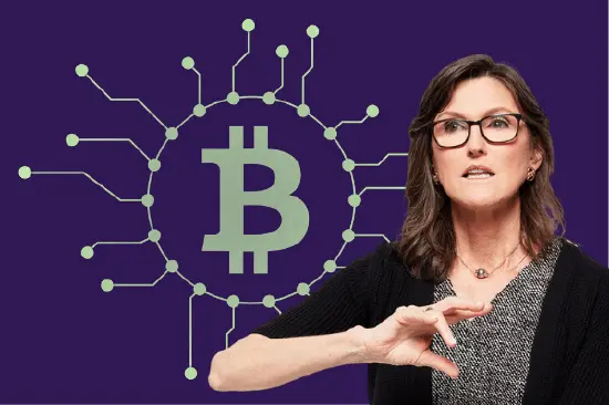 How does Cathie Wood view Crypto? ARK 2023/4 Big Ideas Disruptive Innovation Report