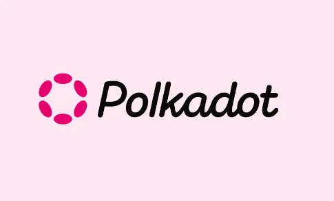 Polkadot 财库风波