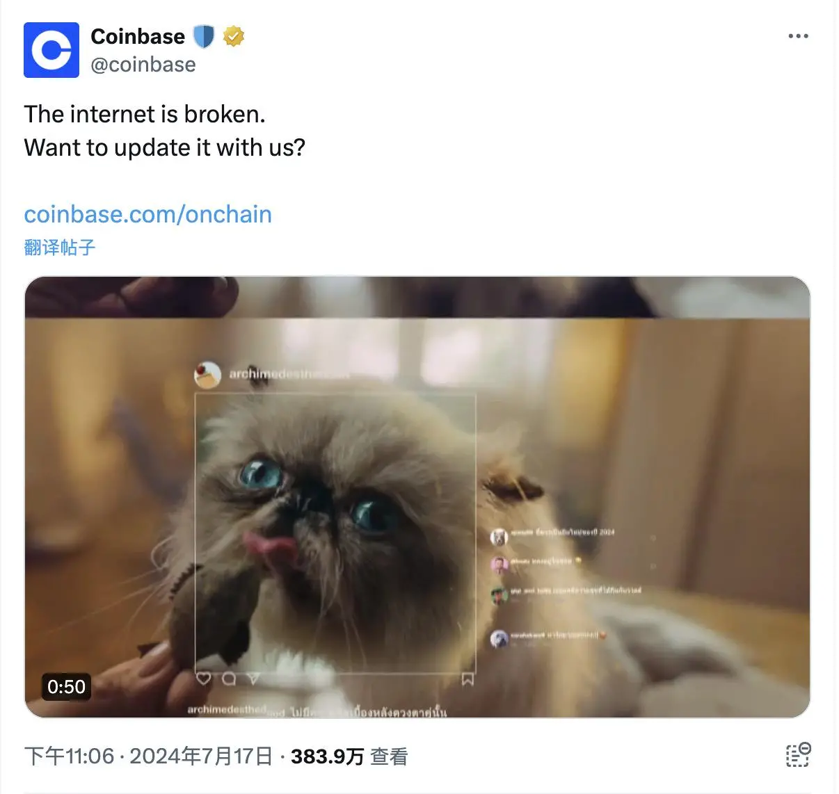 又一猫猫主题MEME走红，Base生态代币MIGGLES最高超900倍，Coinbase成大推手