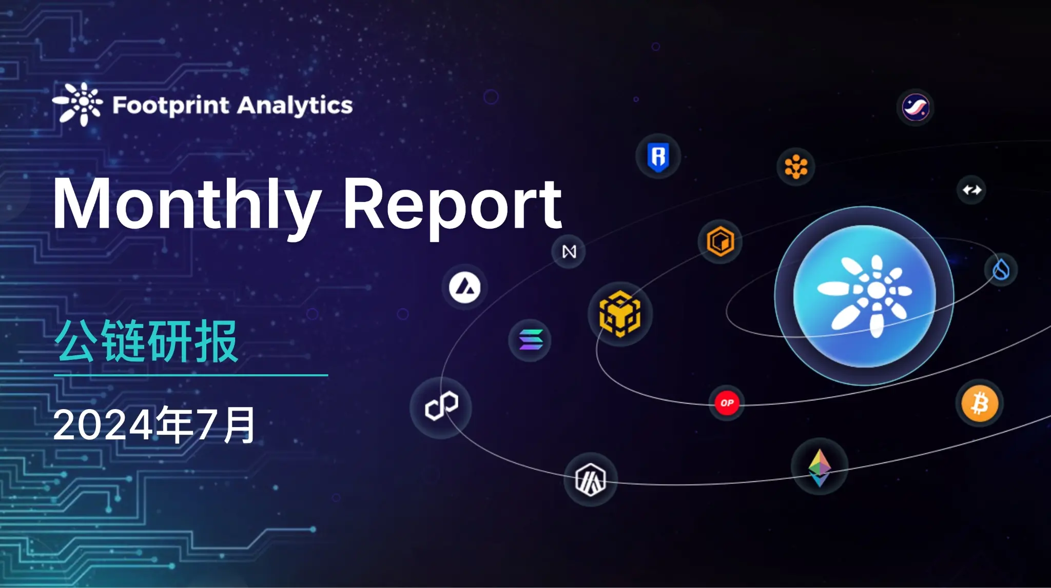 July 2024 Public Chain Industry Research Report: Solana Shines Amid Market Volatility, Layer 2 Competition Heats Up