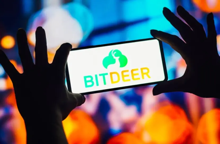 Bitdeer 2024 Q2 Financial Analysis: Total Revenue $99.2 million, a year-on-year increase of 5.8%