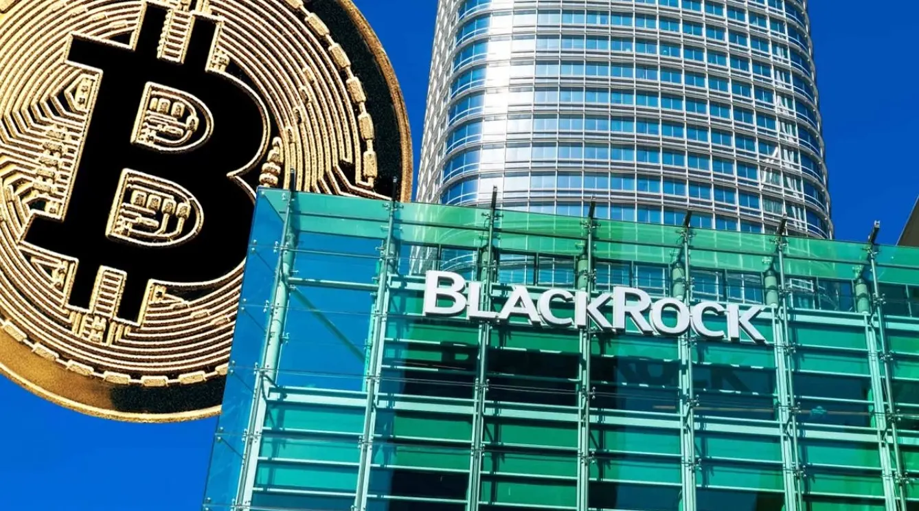 BlackRock on Bitcoin: Risk and Return Drivers Are Completely Different from Traditional Assets