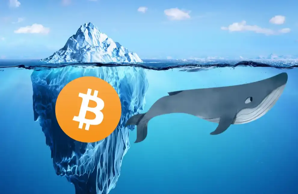 The cognitive iceberg of the crypto market: From the common knowledge of new players to the memes of seasoned investors, which layer are you on?