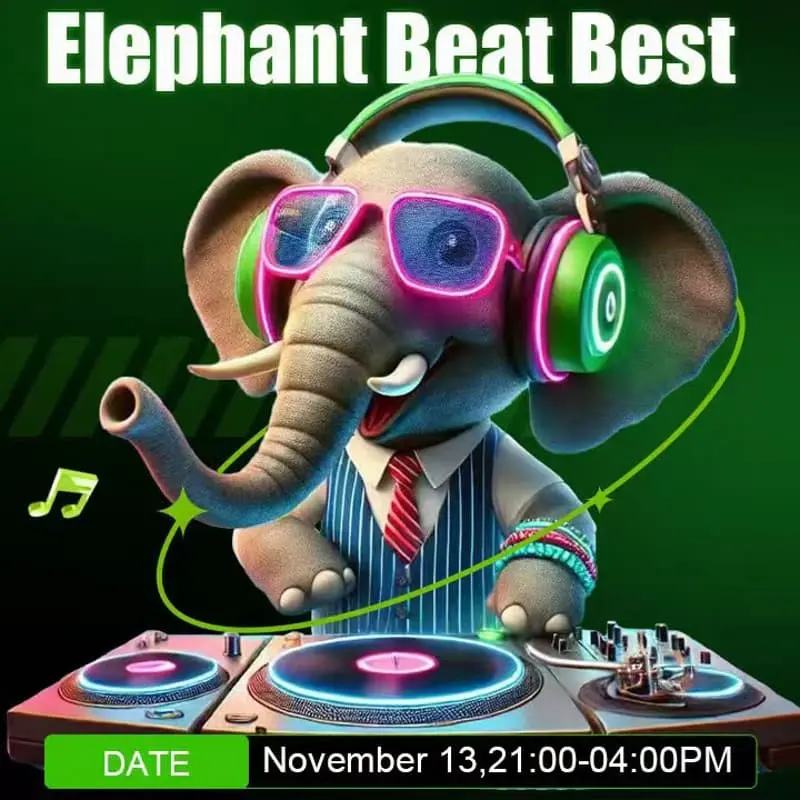 Cover Image for WEB3  Elephant Beat Best