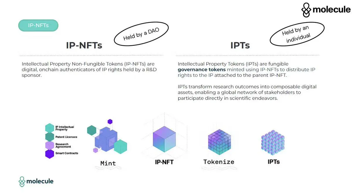 BIO Protocol創始人發文解讀DeSci，即將在Launchpad推出三個項目