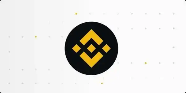 BNB rose by about 14% in one day, an overview of which "in-house" projects Binance has recently supported