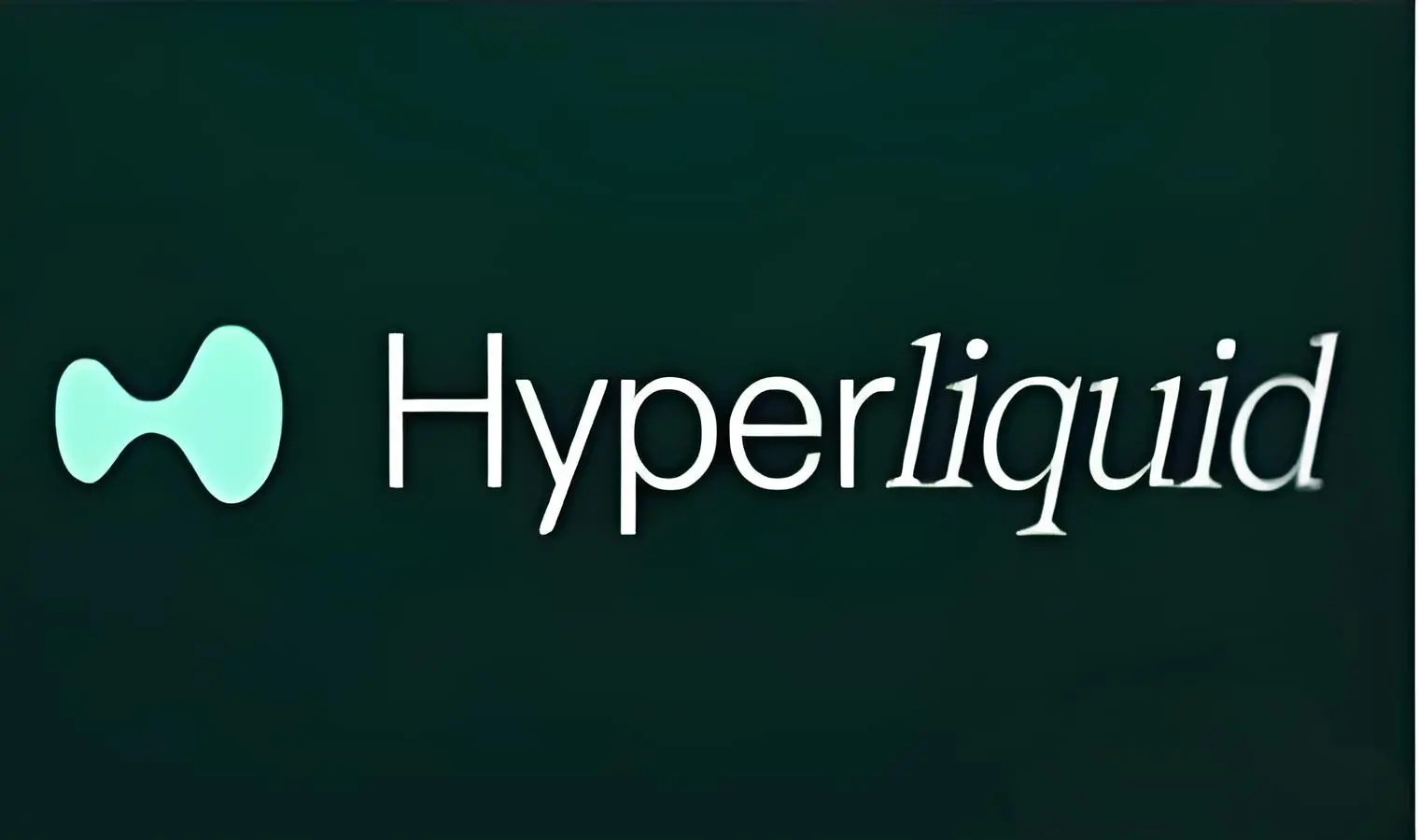 2024 최대 에어드랍, Hyperliquid 생태계에는 어떤 코인들이 참여할 수 있나요?