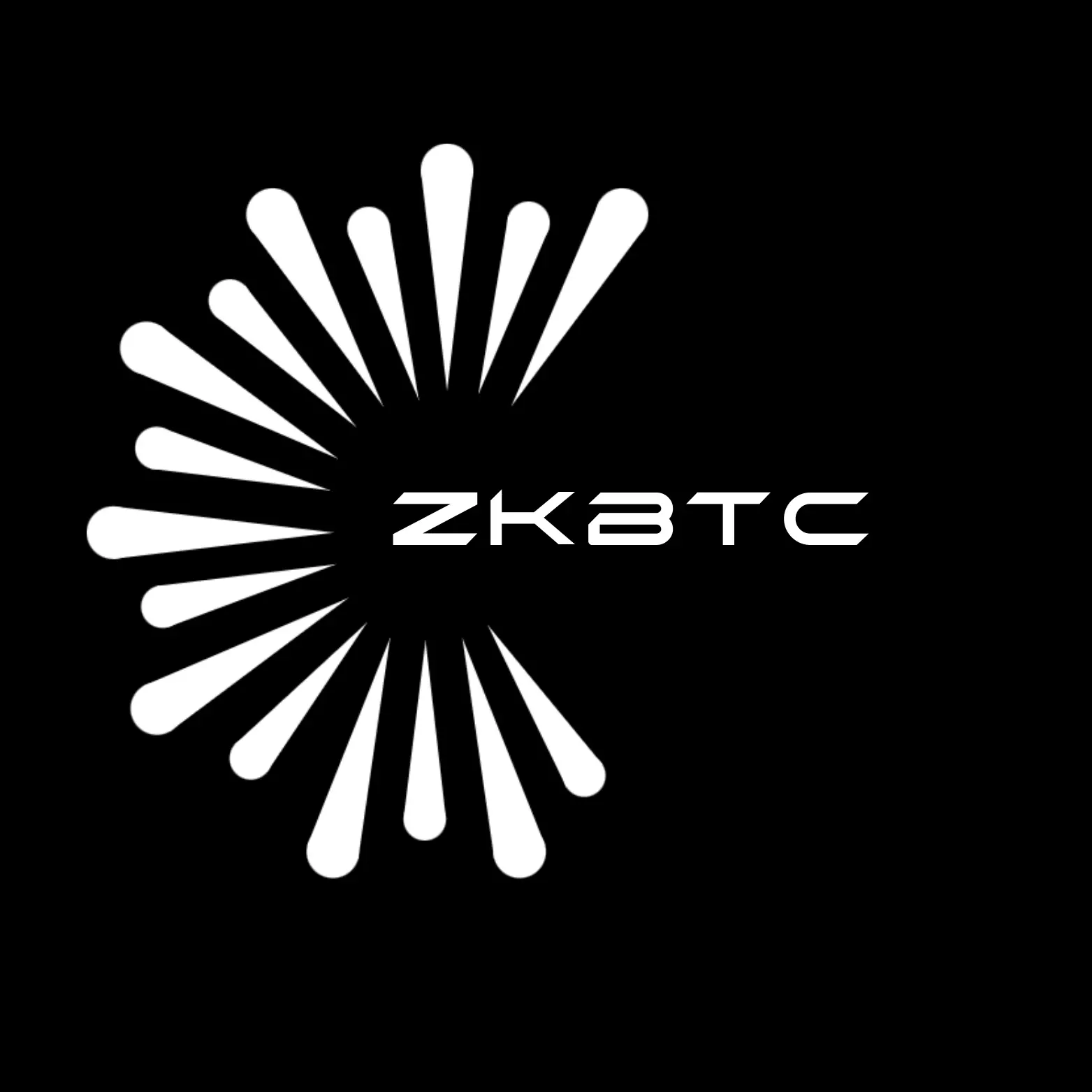 zkBTC Bridge 社區會議揭秘代幣經濟模型，構建去中心化跨鏈生態